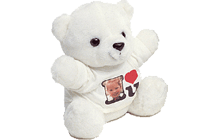 Teddybeer Wit